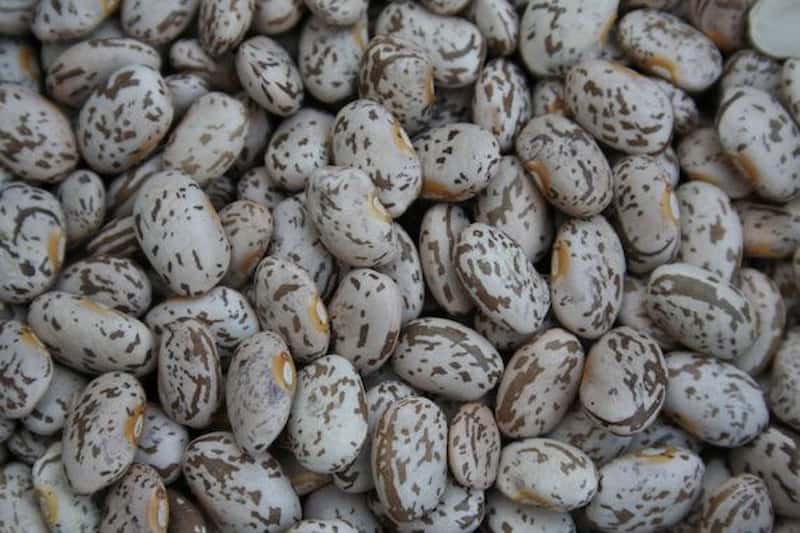قیمت خرید لوبیا چیتی دستچین + فروش ویژه